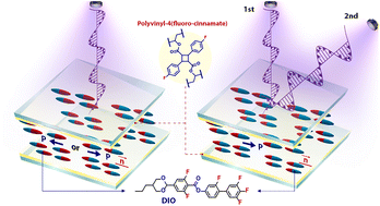 Graphical abstract: Polar and apolar light-induced alignment of ferroelectric nematics on photosensitive polymer substrates