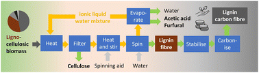 Graphical abstract: Sustainable low-cost carbon fibres produced by integrating wood fractionation with lignin fibre spinning