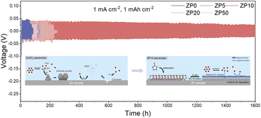 Graphical abstract: Adsorption-induced dual-layer solid electrolyte interface toward a highly reversible Zn anode