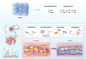 Graphical abstract: Tissue-adhesive, antibacterial, and macrophage-reprogramming hydrogel for sealing colorectal anastomotic leakage and promoting healing