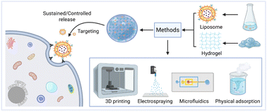 Graphical abstract: Advances in drug delivery systems based on liposome-composite hydrogel microspheres
