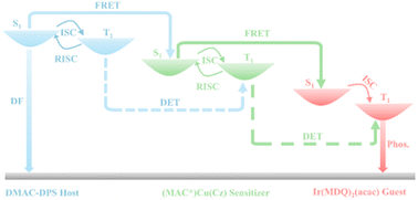 Graphical abstract: Color-stable and highly efficient solution-processed white OLEDs with a copper(i) complex as a sensitizer