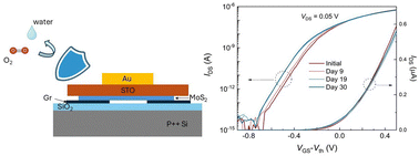 Graphical abstract: Stable operation of two-dimensional field-effect transistors with van der Waals integrated SrTiO3 top-gate dielectrics
