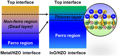 Graphical abstract: An ultra-thin InO interlayer as an oxygen reservoir for defect passivation and enhanced ferroelectricity in hafnia devices