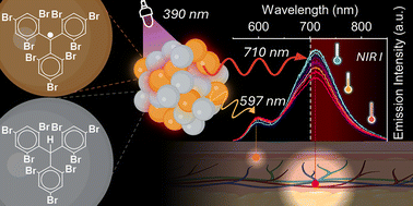 Graphical abstract: Brominated trityl radical nanoparticles: metal-free ratiometric nanothermometer with near-infrared excimeric emission in water