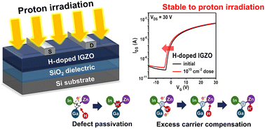 Graphical abstract: Enhancing proton irradiation tolerance of a-IGZO thin-film transistors through hydrogen doping
