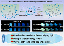 Graphical abstract: Programmable wavelength- and time-dependent multicolor afterglow in polyvinyl alcohol via synergistic ion-bridging and crosslinking interactions
