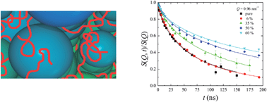 Graphical abstract: Anomalous chain diffusion in unentangled model polymer nanocomposites
