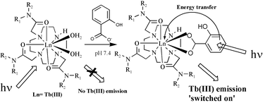 Graphical abstract: Delayed lanthanide luminescence sensing of aromatic carboxylates using heptadentate triamide Tb(iii) cyclen complexes: the recognition of salicylic acid in water