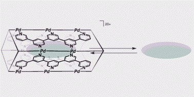 Graphical abstract: Dynamic aspects in host–guest complexation by coordination nanotubes
