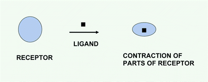 Graphical abstract: How can enzymes be so efficient?