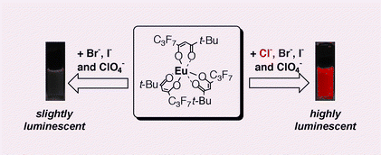 Graphical abstract: Anion receptor functions of lanthanide tris(β-diketonate) complexes: naked eye detection and ion-selective electrode determination of Cl− anion