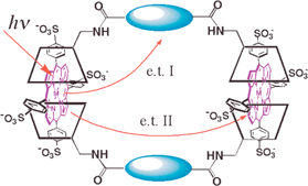 Graphical abstract: Construction of porphyrin–cyclodextrin self-assembly with molecular wedge