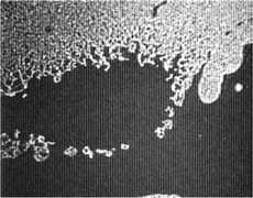 Graphical abstract: Amphiphilic behavior of an apparently non-polar calixarene