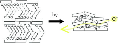 Graphical abstract: Evidence for the role of organic layers in photoconductivity of organic/inorganic hybrid nanosheets as prepared by Langmuir–Blodgett methods