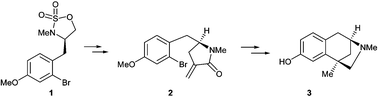 Graphical abstract: Cyclic sulfamidates as lactam precursors. An efficient asymmetric synthesis of (-)-aphanorphine