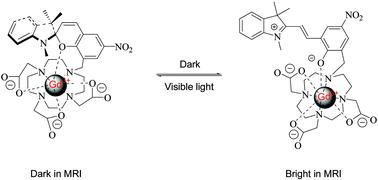 Graphical abstract: Photochromically-controlled, reversibly-activated MRI and optical contrast agent