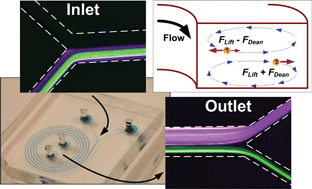 Graphical abstract: Continuous particle separation in spiral microchannels using dean flows and differential migration