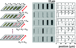 Graphical abstract: Rewritable remote encoding and decoding of miniature multi-bit magnetic tags for high-throughput biological analysis
