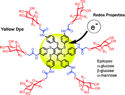 Graphical abstract: Glycosylated asterisks are among the most potent low valency inducers of Concanavalin A aggregation