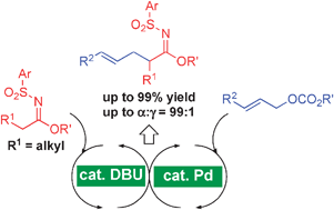 Graphical abstract: Catalytic direct-type substitution reaction of α-alkylenolates: a Pd/Brønsted base-catalysed approach to the decarboxylative allylation of sulfonylimidates