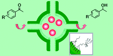 Graphical abstract: Enhancement of catalytic performance in asymmetric transfer hydrogenation by microenvironment engineering of the nanocage