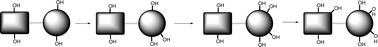 Graphical abstract: Oxidative cascade reactions yielding polyhydroxy-theaflavins and theacitrins in the formation of black tea thearubigins: Evidence by tandem LC-MS