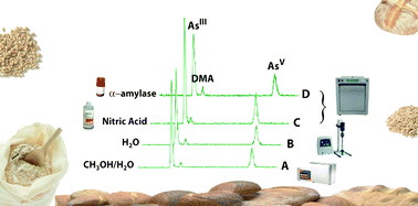 Graphical abstract: Arsenic speciation in wheat and wheat products using ultrasound- and microwave-assisted extraction and anion exchange chromatography-inductively coupled plasma mass spectrometry