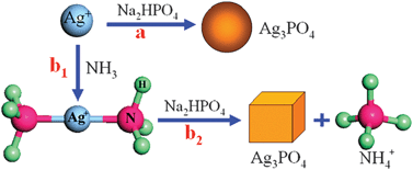 Graphical abstract: Photocatalytic and photoelectric properties of cubic Ag3PO4 sub-microcrystals with sharp corners and edges
