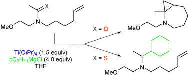 Graphical abstract: Kulinkovich-type reactions of thioamides: similar to those of carboxylic amides?