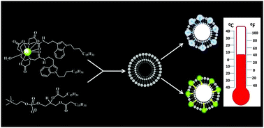 Graphical abstract: Temperature responsive phosphorescent small unilamellar vesicles