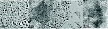 Graphical abstract: Controlled synthesis of iron oxide nanoplates and nanoflowers
