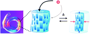 Graphical abstract: Liquid crystalline inorganic nanosheets for facile synthesis of polymer hydrogels with anisotropies in structure, optical property, swelling/deswelling, and ion transport/fixation