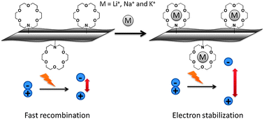 Graphical abstract: Tunability by alkali metal cations of photoinduced charge separation in azacrown functionalized graphene