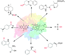 Graphical abstract: The taming of oxygen: biocatalytic oxyfunctionalisations