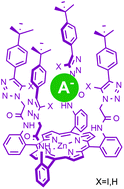 Graphical abstract: Halogen- and hydrogen-bonding triazole-functionalised porphyrin-based receptors for anion recognition