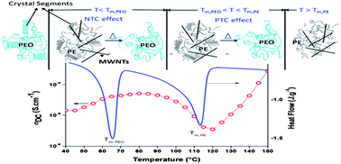 Graphical abstract: Positive temperature coefficient and structural relaxations in selectively localized MWNTs in PE/PEO blends