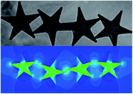 Graphical abstract: The fabrication and directed self-assembly of micron-sized superparamagnetic non-spherical particles