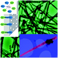 Graphical abstract: The role of poly(aspartic acid) in the precipitation of calcium phosphate in confinement