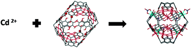 Graphical abstract: Structural alteration of the metal–organic pyrogallol[4]arene nano-capsule motif by incorporation of large metal centres