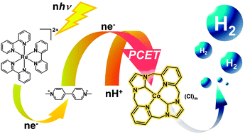 Graphical abstract: A cobalt–NHC complex as an improved catalyst for photochemical hydrogen evolution from water