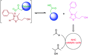 Graphical abstract: A highly efficient thiazolylidene catalyzed acetoin formation: reaction, tolerance and catalyst recycling