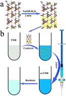 Graphical abstract: Synthesis of a mixed valence state Ce-MOF as an oxidase mimetic for the colorimetric detection of biothiols