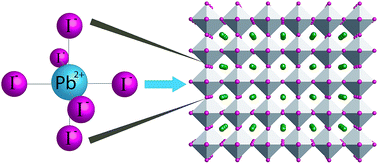 Graphical abstract: Dual nature of the excited state in organic–inorganic lead halide perovskites