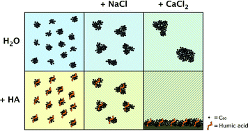 Graphical abstract: Colloidal stability of (functionalised) fullerenes in the presence of dissolved organic carbon and electrolytes