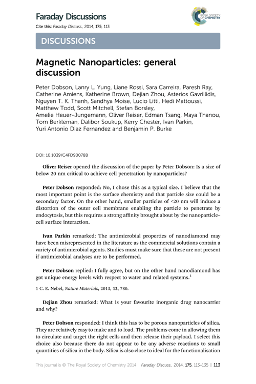 Magnetic Nanoparticles: general discussion