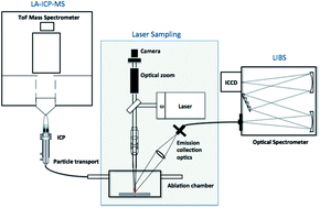 Graphical abstract: Simultaneous 3-dimensional elemental imaging with LIBS and LA-ICP-MS