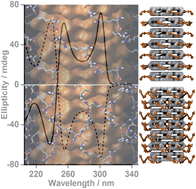 Graphical abstract: Chiromers: conformation-driven mirror-image supramolecular chirality isomerism identified in a new class of helical rosette nanotubes
