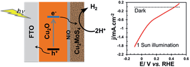 Graphical abstract: Engineering a Cu2O/NiO/Cu2MoS4 hybrid photocathode for H2 generation in water