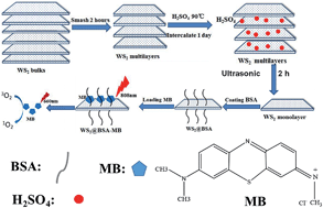 Graphical abstract: WS2 nanosheet as a new photosensitizer carrier for combined photodynamic and photothermal therapy of cancer cells